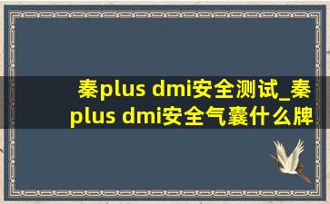 秦plus dmi安全测试_秦plus dmi安全气囊什么牌子